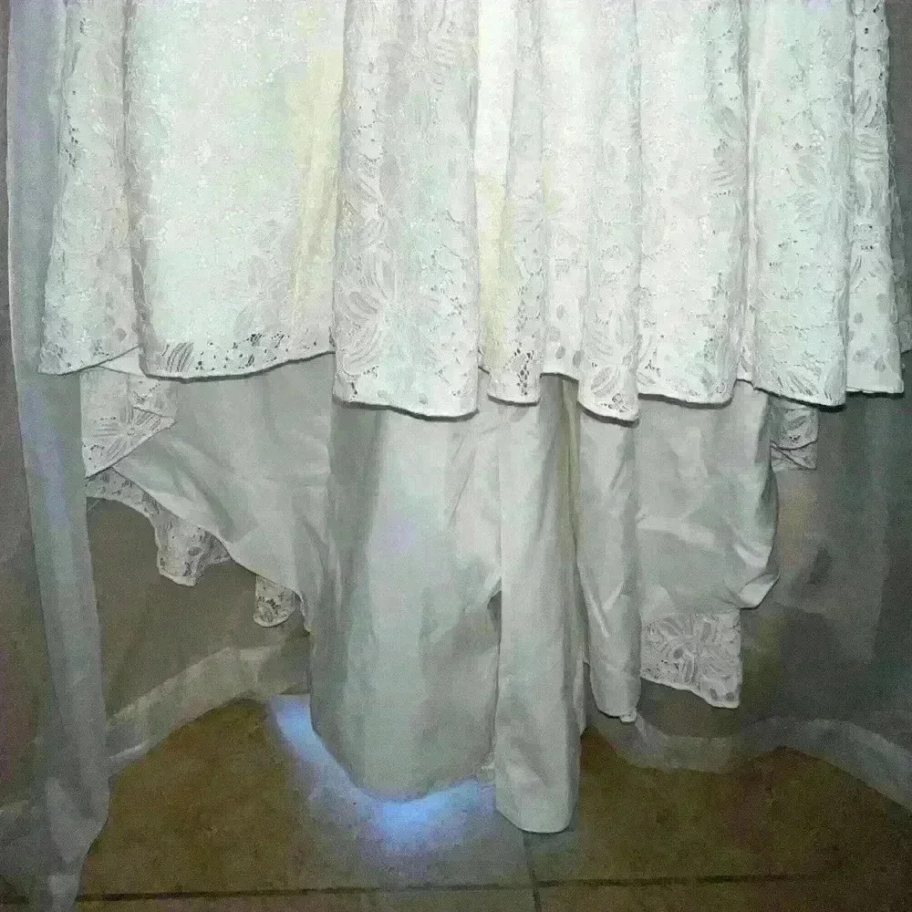 David’s Bridal Galina Wedding Dress - Picture 3 of 7